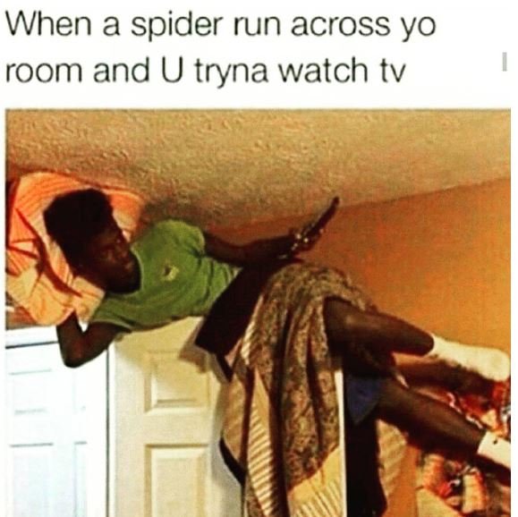 When a spider run across yo room and u tryna watch tv