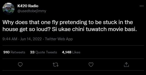 K420 radio usedtobejimmy why does that one fly pretending to be stuck in the hou