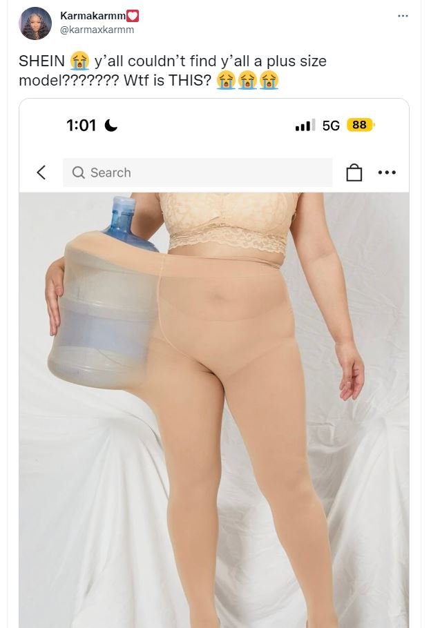 Karmakarmmg karmaxkarmm shein y'all couldn't find y' all a plus size model??????