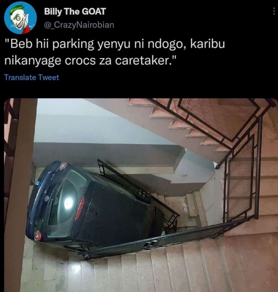 Billy the goat _crazynairobian beb hii parking yenyu ni ndogo, karibu nikanyage