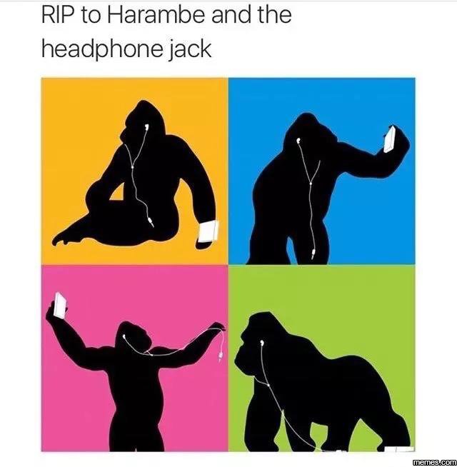 Rip to harambe and the headphone jack memes