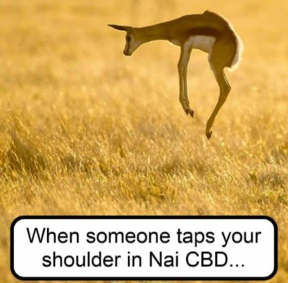 When someone taps your shoulder in nai cbd_