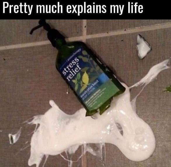 Pretty much explains my life 0 !