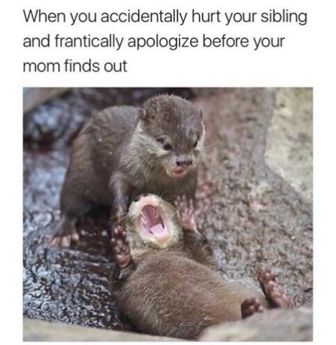 When you accidentally hurt your sibling and frantically apologize before your mo