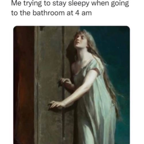 Me trying to stay sleepy when going to the bathroom at 4 am