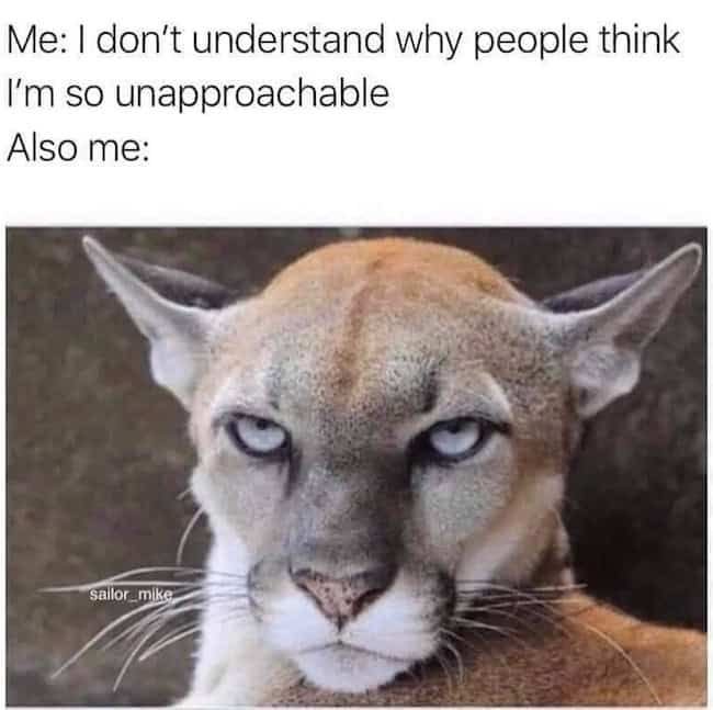 Me i don't understand why people think im so unapproachable also me sulllor_mlke