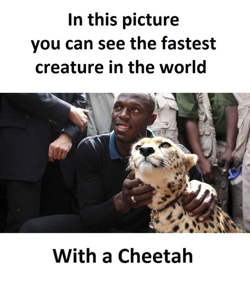 In this picture you can see the fastest creature in the world with a cheetah