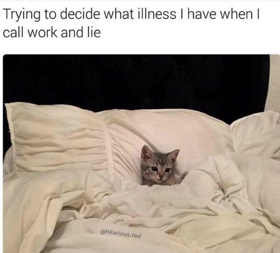 Trying to decide what illness have when call work and lie hilarious ted