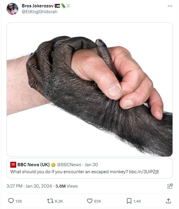 Bros jokerozov elkingghidorah bbc news uk bbcnews jan 30 what should you do if y