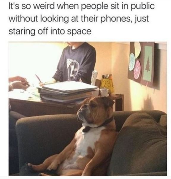It's so weird when people sit in public without looking at their phones just sta