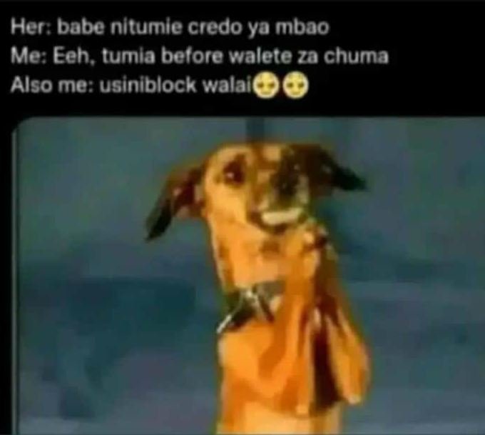 Her bube nltumle credo ya mbao me eeh tumla belore walete za chuma also me usini