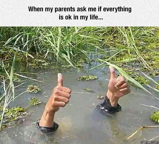 When my parents ask me if everything is ok in my life_ jiems