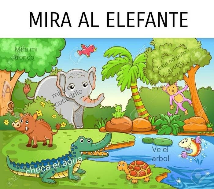 Mira al elefante mira mi tronco m drilo coco ve el arbol cg6 elagy checa puto