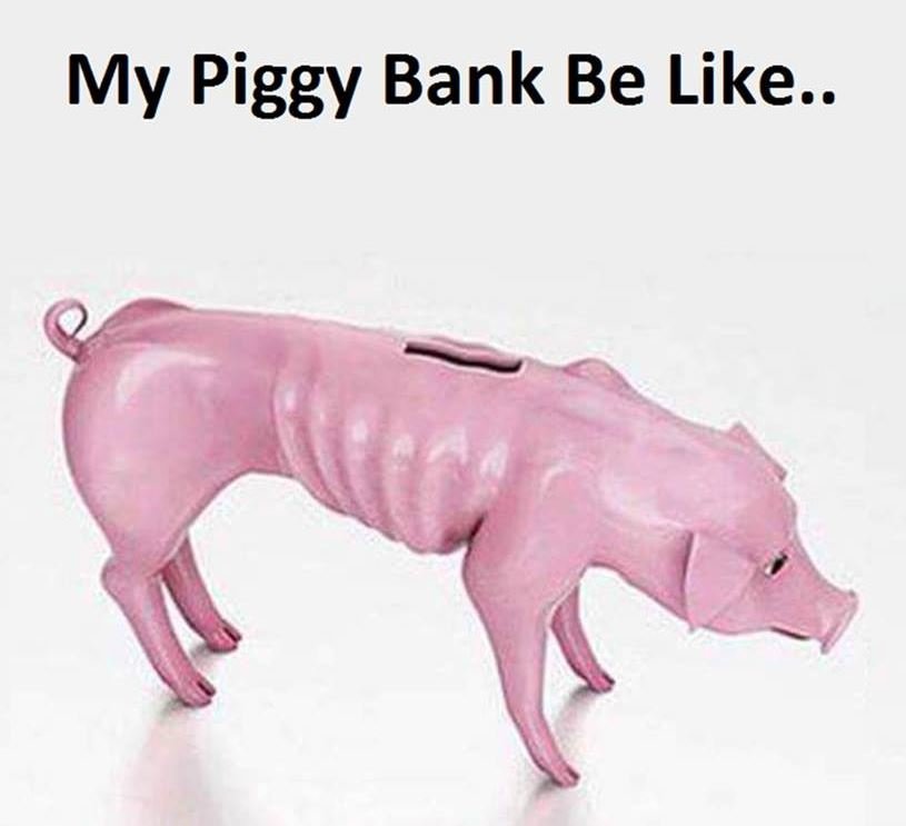 My piggy bank be like .
