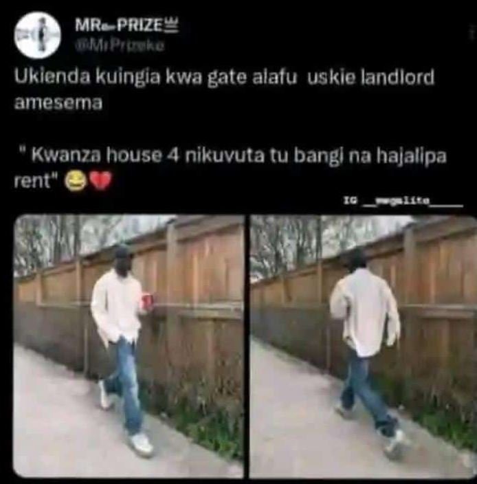 Mrprize akaso uklenda kuingia kwa gate alatu uskie landlord amesema kwanza house