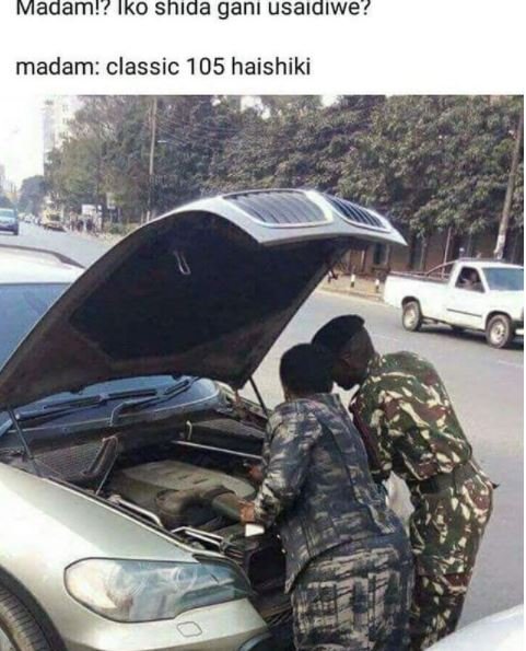 Madam?? iko shıda ganı usaıdıwe? madam classic 105 haishiki