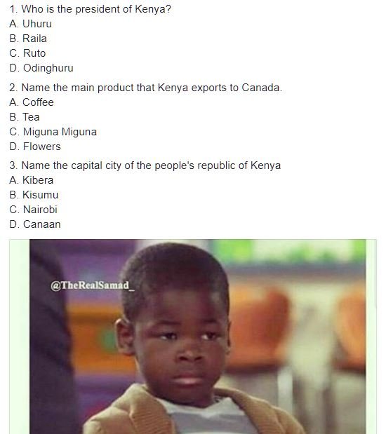 Who is the president of kenya a. uhuru b. raila ruto odinghuru name the main pro