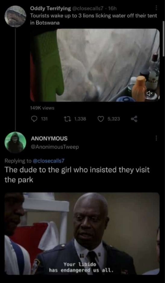 Oddly terrifying closecalls7 16h tourists wake up to 3 lions licking water off t