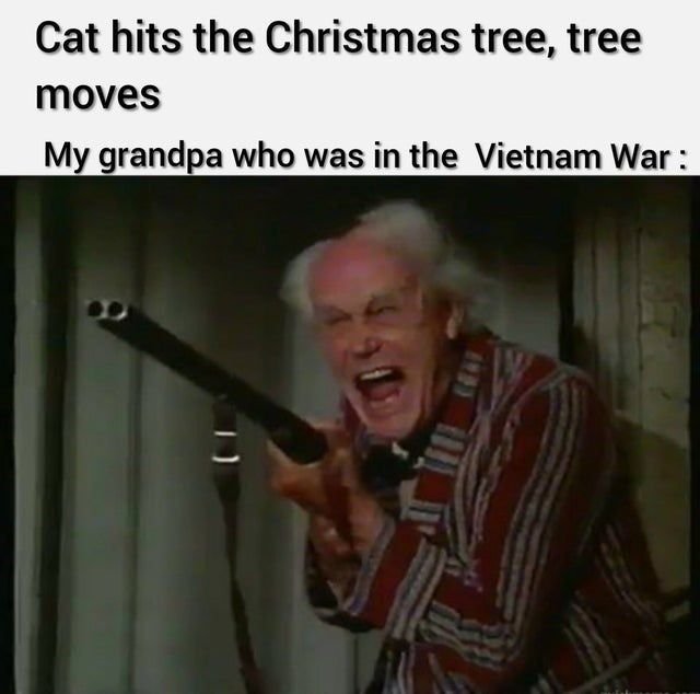 Cat hits the christmas tree, tree moves my grandpa who was in the vietnam war