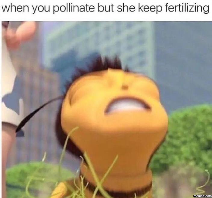 When you pollinate but she keep fertilizing memes com