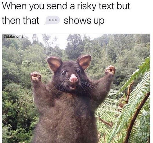 When you send a risky text but then that shows up dabrnomns
