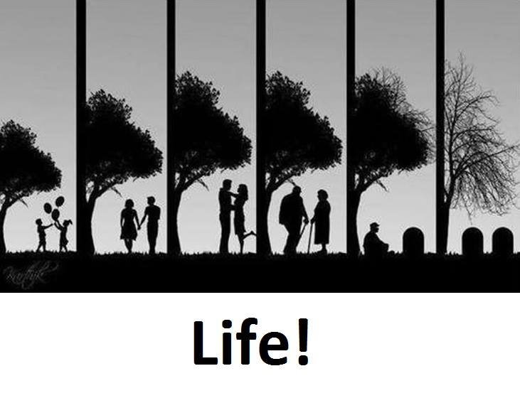 Life!