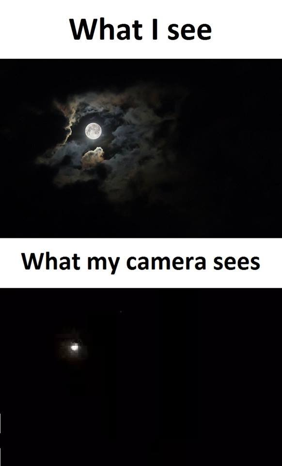 What see what my camera sees