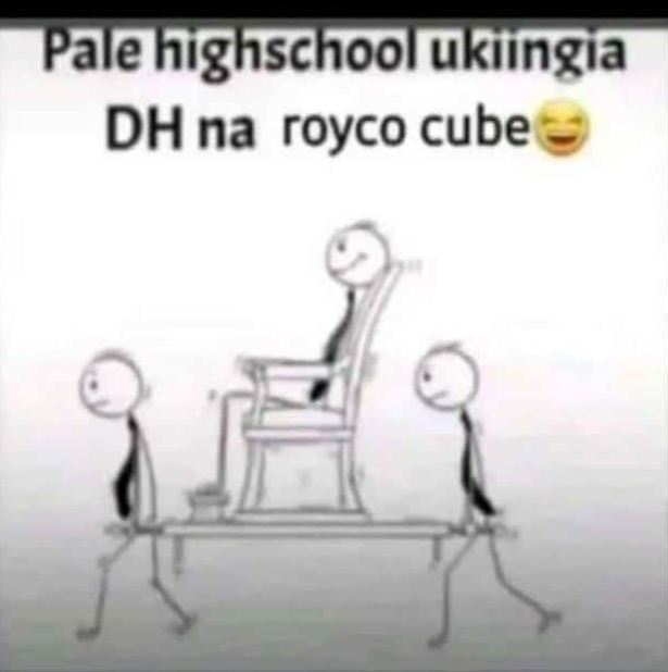 Palehighschool ukiingia dh na royco cube