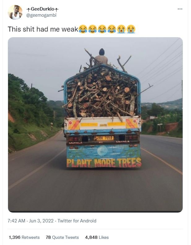 Geedurkio geemogambi this shit had me weak àgffè 1k75s plant mare trees 7.42 am