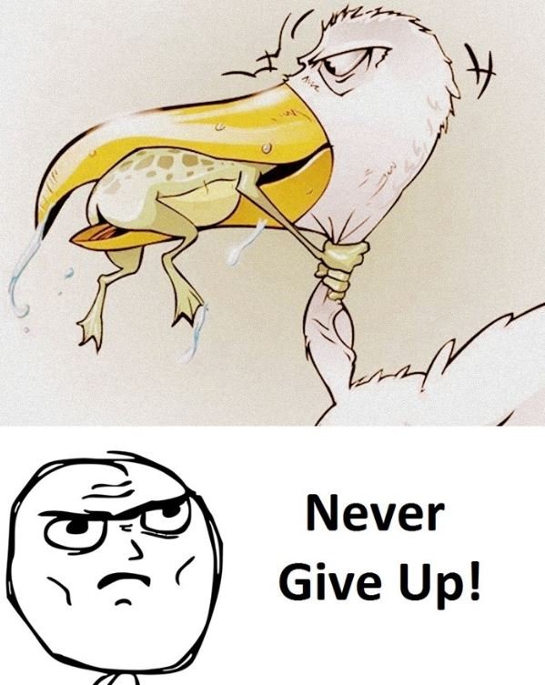Never give up!