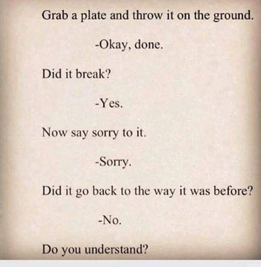 Grab a plate and throw it on the ground. okay . done. did it break? yes now say