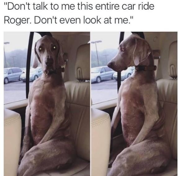 Don't talk to me this entire car ride roger. don't even look at me