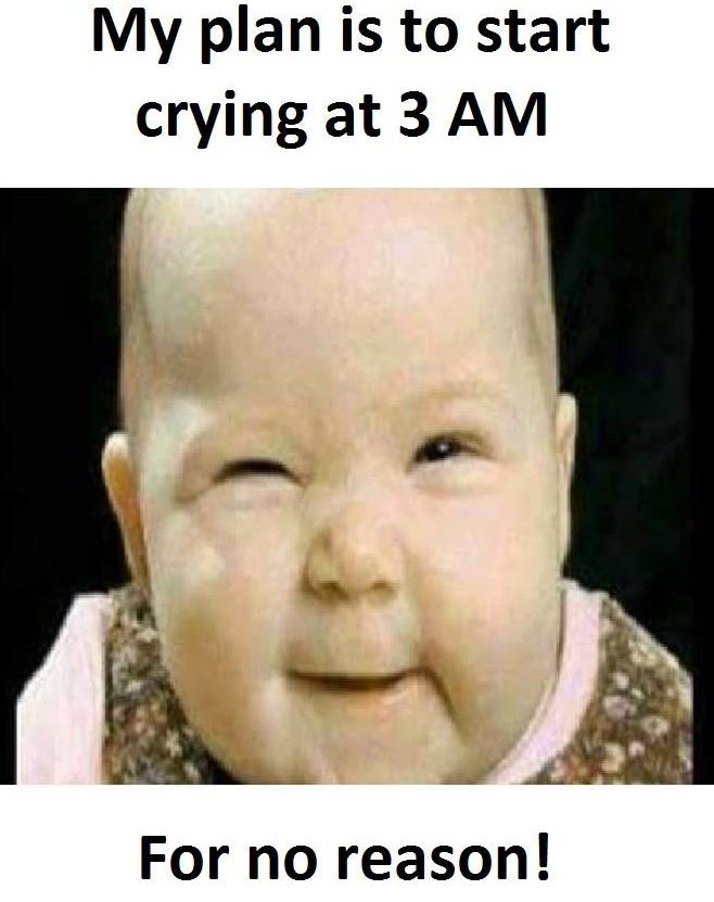 My plan is to start crying at 3 am for no reason!