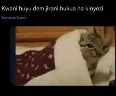 Kwani huyu dem jirani hukua na kinyozi translate twveer