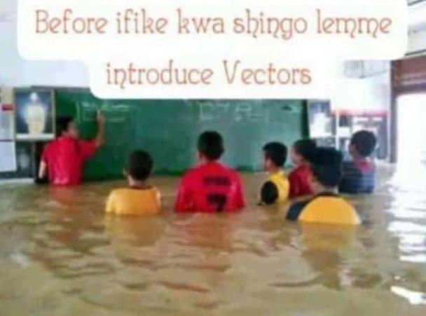 Before ifike kwa shingo lemme introduce vectors