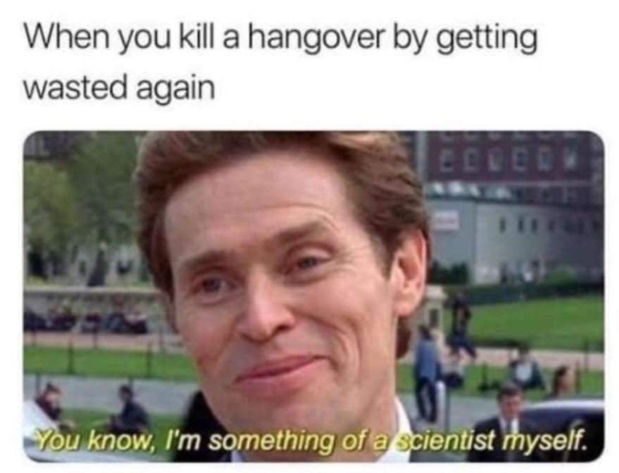 When you kill a hangover by getting wasted again you know l'm something of a sci