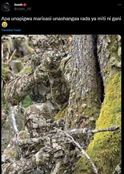 Joseh joseh_ke apa unapigwa marisasi unashangaa rada ya miti ni gani tranelate t
