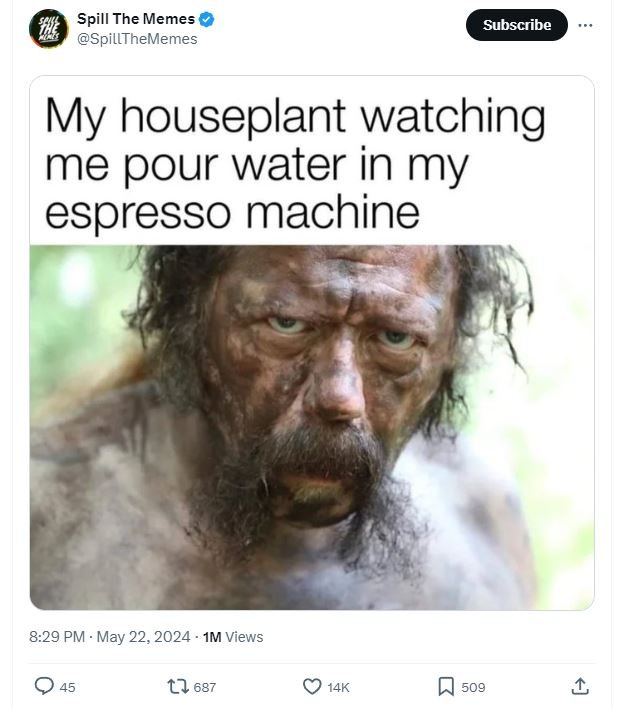 Spill the memes spillthememes subscribe my houseplant watching me pour water in