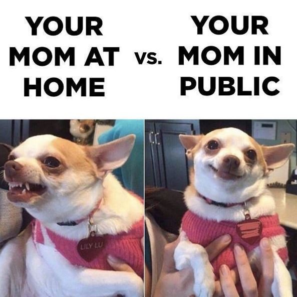 Your your mom at vs. mom in home public lily lu
