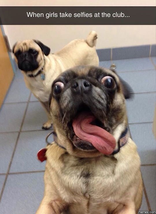 When girls take selfies at the club . memescom