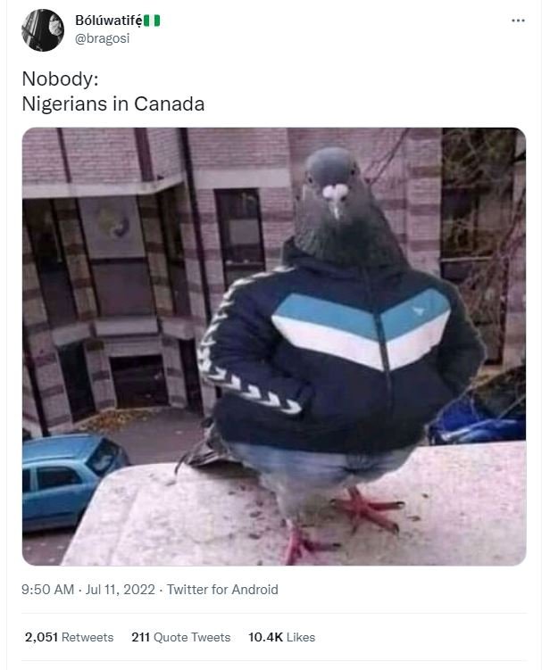 Bóluwatifé bragosi nobody nigerians in canada 9.50 am jul 11, twitter for androi