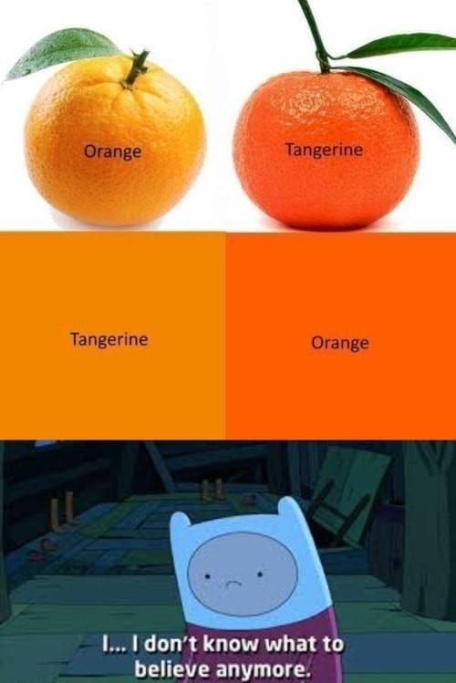 Orange tangerine tangerine orange don't know what to believe anymore
