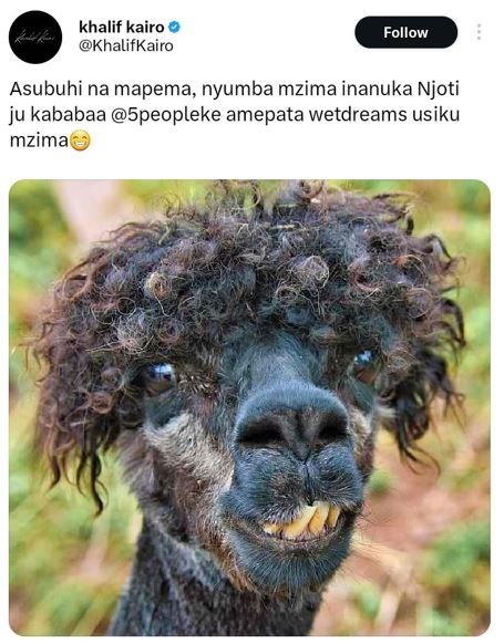 Khalif kairo khalifkairo follow asubuhi na mapema, nyumba mzima inanuka njoti ju