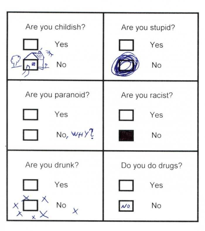 Are you childish? are you stupid? yes yes no no are you paranoid? are you racist