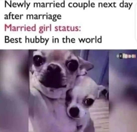 Newly married couple next day after marriage Married girl status Best hubby in t