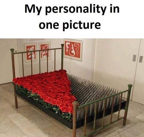 My personality in one picture e8?