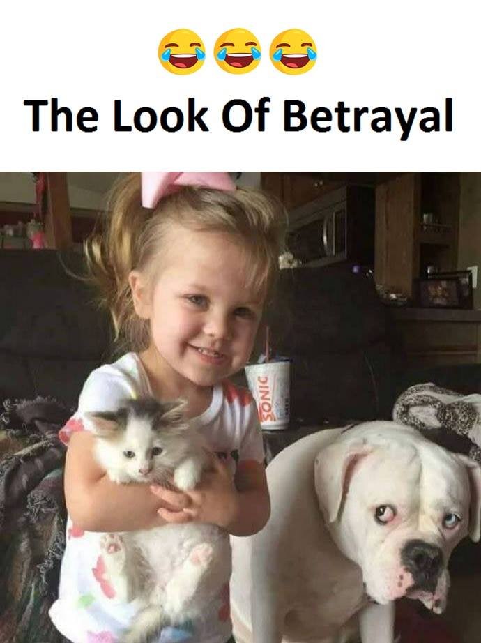 The look of betrayal p