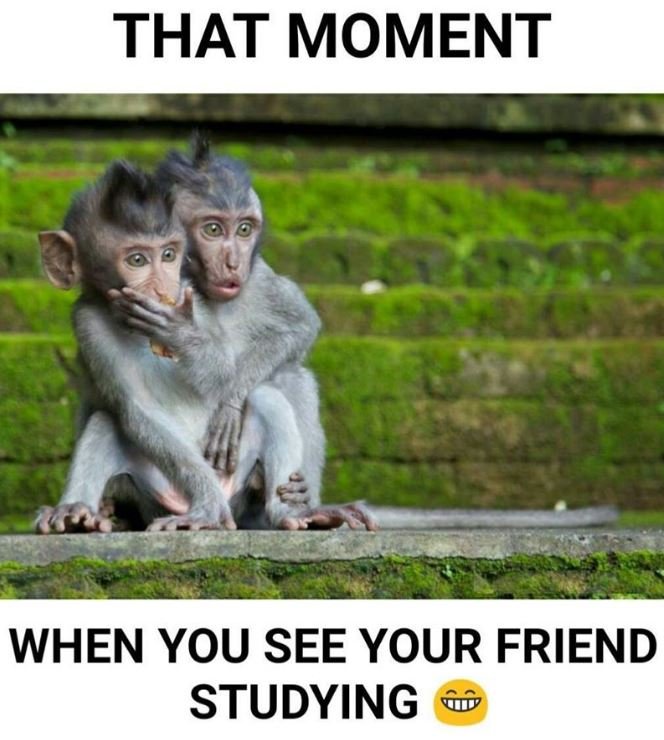 That moment when you see your friend studying