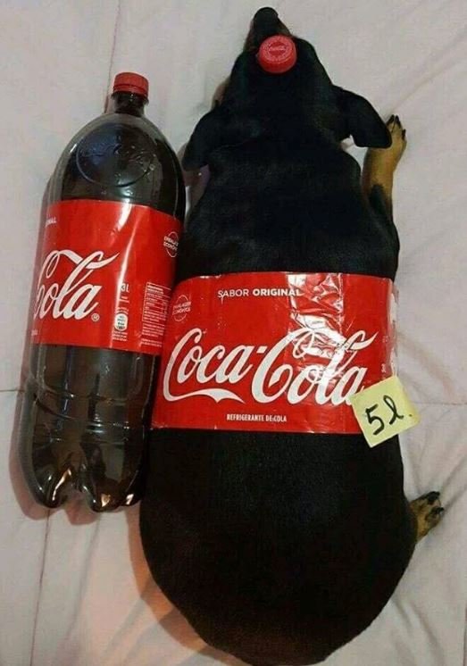 La sabor origine gccodln mincitiettdetou 52