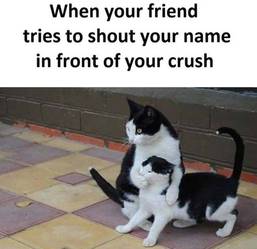 When your friend tries to shout your name in front of your crush